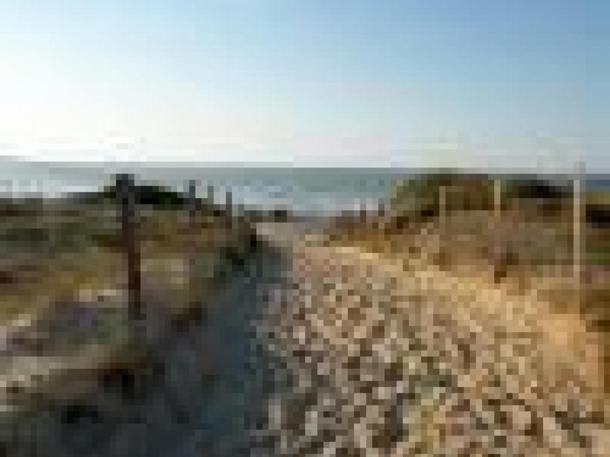 Appartement Cosy A 300M De L'Ocean Au Coeur De La Station - Balcon Et Parking Securise - Fr-1-239-144 Seignosse Eksteriør billede
