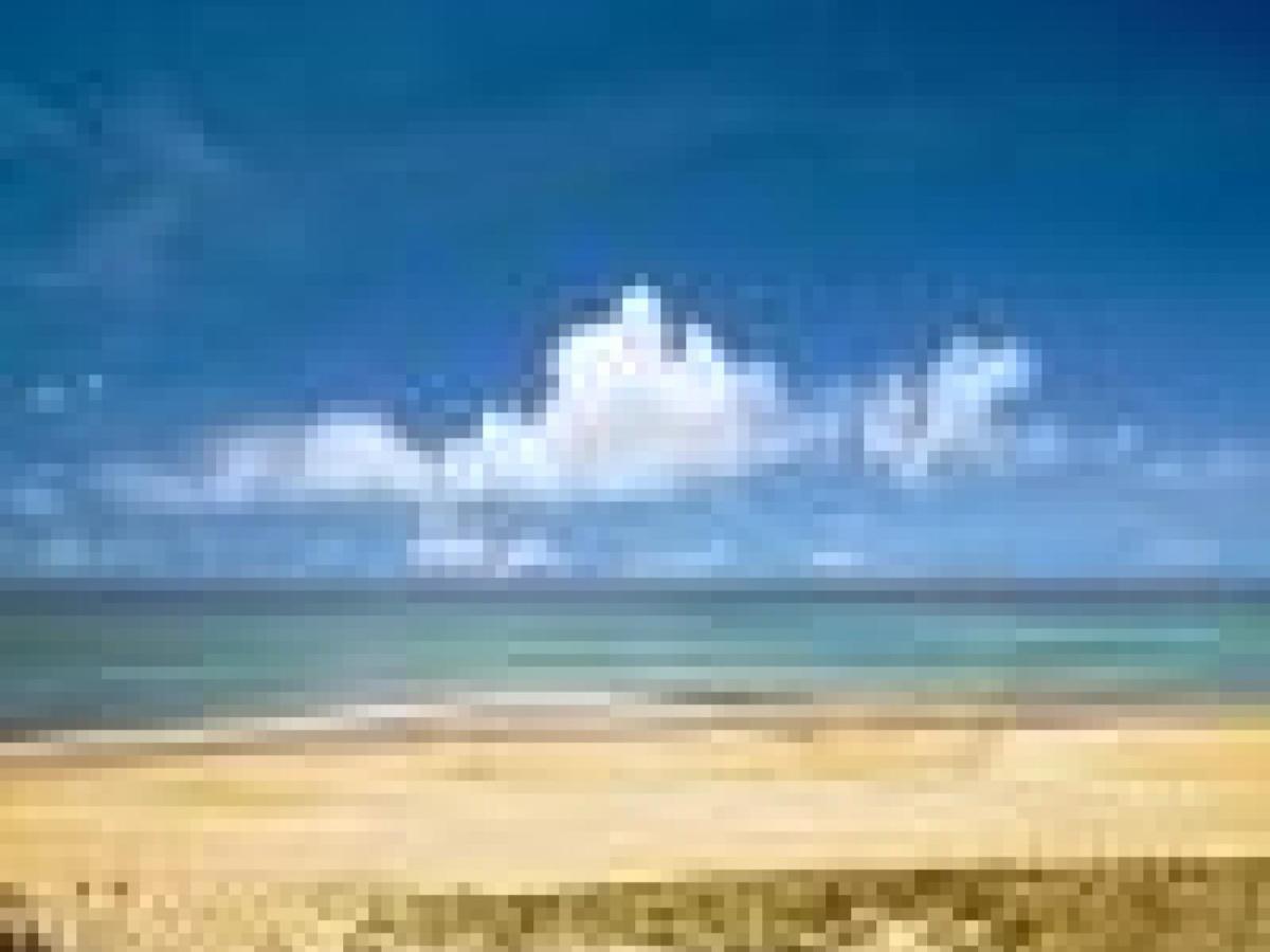 Appartement Cosy A 300M De L'Ocean Au Coeur De La Station - Balcon Et Parking Securise - Fr-1-239-144 Seignosse Eksteriør billede